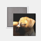 Schlafboxen Welpenmagnet Magnet (Vorderseite/Rückseite)