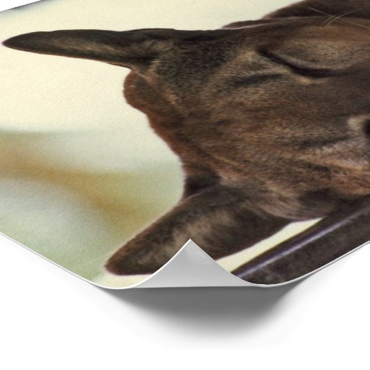 Schlafcouch Poster (Ecke)