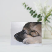 Schlafcouch Postkarte (Stehend Vorderseite)