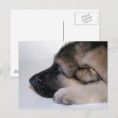 Schlafcouch Postkarte (Vorne/Hinten)