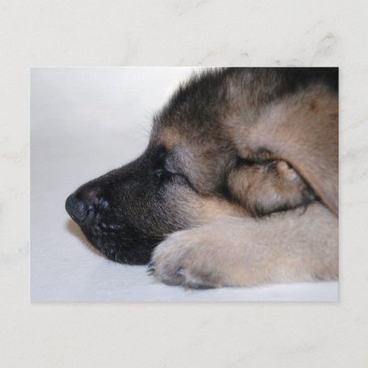 Schlafcouch Postkarte (Vorderseite)
