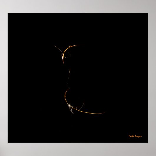 Schlafdragon Poster (Vorne)