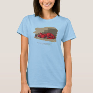 Schlafdragon T-Shirt