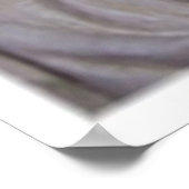 Schlafen Angel Statuenfotografie Poster (Ecke)