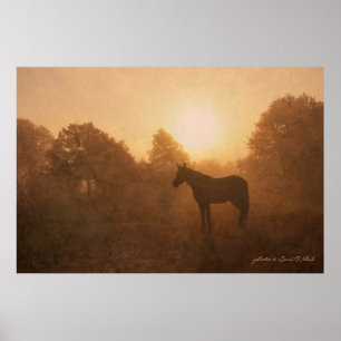 Schlafen bei Sonnenaufgang Poster