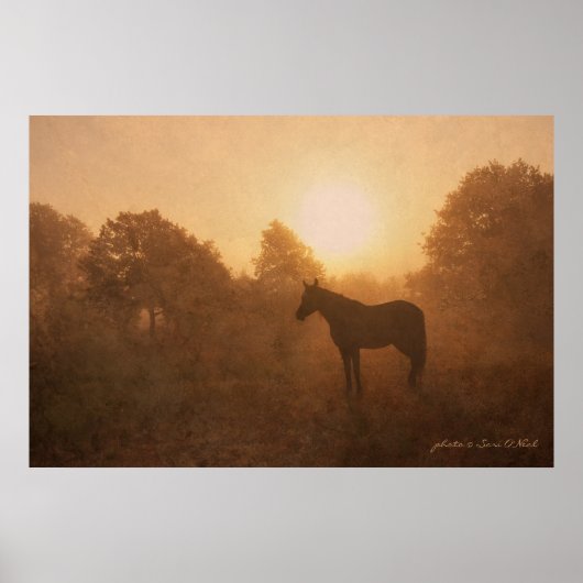 Schlafen bei Sonnenaufgang Poster (Vorne)