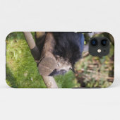 Schlafen Binturong Case-Mate iPhone Hülle (Rückseite (Horizontal))