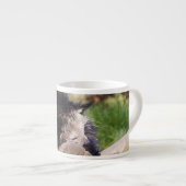 Schlafen Binturong Espressotasse (Vorderseite Rechts)