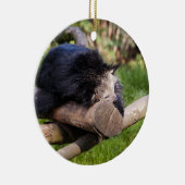 Schlafen Binturong Keramikornament (Rechts)
