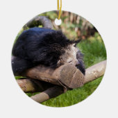 Schlafen Binturong Keramikornament (Vorne)