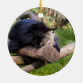 Schlafen Binturong Keramikornament (Hinten)