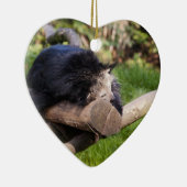 Schlafen Binturong Keramikornament (Rechts)