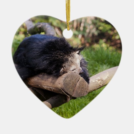 Schlafen Binturong Keramikornament (Vorne)