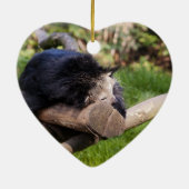 Schlafen Binturong Keramikornament (Hinten)