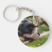 Schlafen Binturong Schlüsselanhänger (Vorderseite)