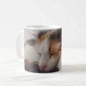 Schlafen Calico Cat Kaffeetasse (Vorderseite Links)