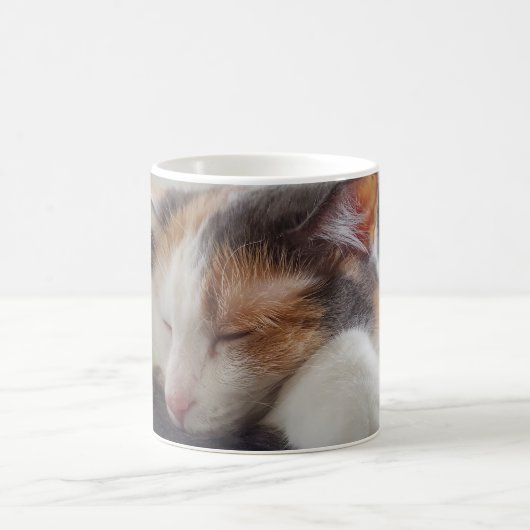 Schlafen Calico Cat Kaffeetasse (Mittel)
