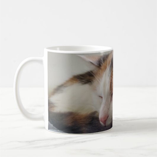 Schlafen Calico Cat Kaffeetasse (Links)