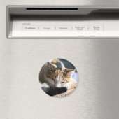 Schlafen Calico Cat Magnet (In Situ (Geschirrspüler))