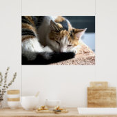 Schlafen Calico Cat Poster (Küche)