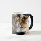 Schlafen Calico Cat Verwandlungstasse (VorderseiteRechts)