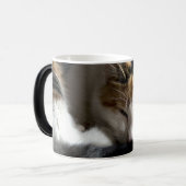 Schlafen Calico Cat Verwandlungstasse (Vorderseite Links)