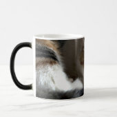 Schlafen Calico Cat Verwandlungstasse (Links)