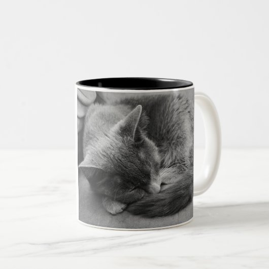 Schlafen Chat-Tasse Zweifarbige Tasse (VorderseiteRechts)