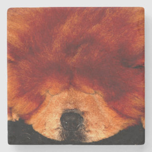 Schlafen Chow Chow Küste Steinuntersetzer