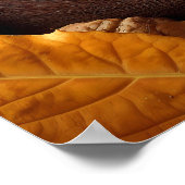 Schlafen Eichhörnchenplakat Poster (Ecke)