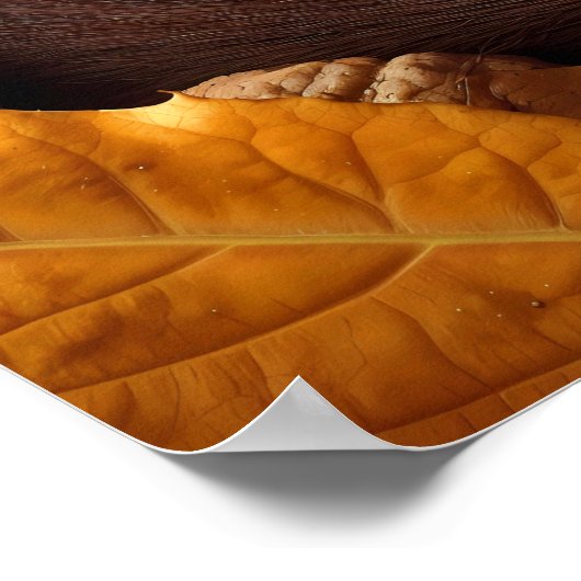 Schlafen Eichhörnchenplakat Poster (Ecke)