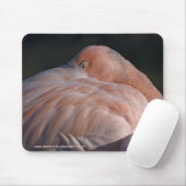 Schlafen Flamingo Mousemat Mousepad (Mit Mouse)