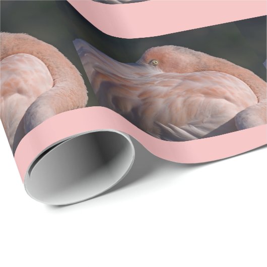 Schlafen Flamingo Wrapping Paper Geschenkpapier (Rolleneckpunkt)