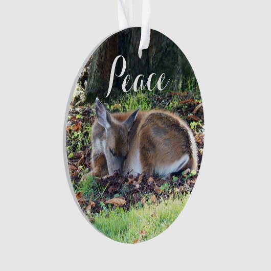 Schlafen für den Frieden Ornament (Vorderseite)