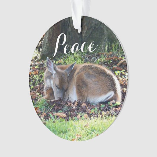 Schlafen für den Frieden Ornament (Vorderseite)