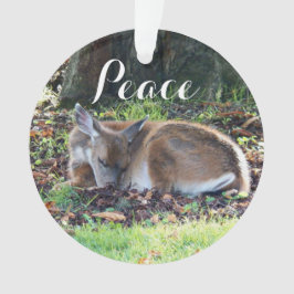 Schlafen für den Frieden Ornament