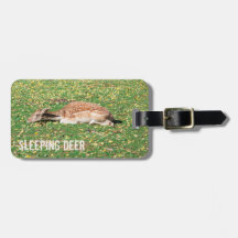 Schlafen Hirsch im Winterschlaf auf der Wiese im H