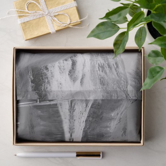 Schlafen Hochlandkuh schwarz und weiß Decoupage Seidenpapier (Geschenk)