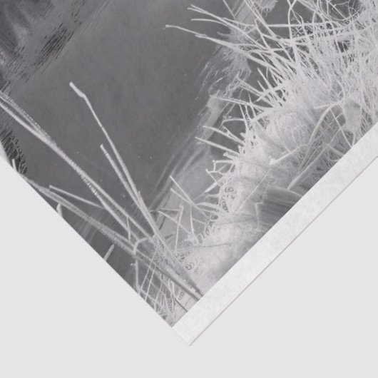 Schlafen Hochlandkuh schwarz und weiß Decoupage Seidenpapier (Ausschnitt)