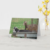 Schlafen in meinem Feed Karte (Gelbe Blume)