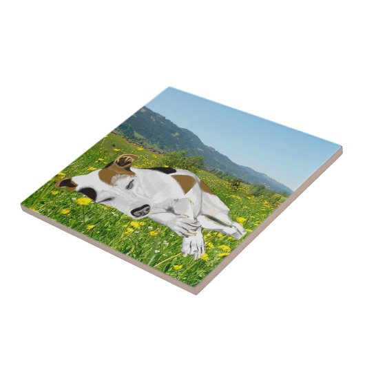 Schlafen Jack Russell in einer Blume Fliese (Seite)