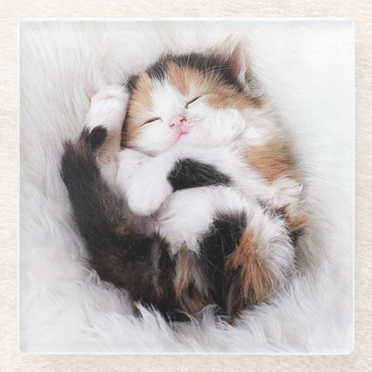 Schlafen Kitty Cat Untersetzer (Vorderseite)