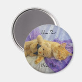 Schlafen Kitty Magnet (Vorderseite/Rückseite)