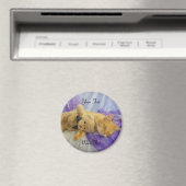 Schlafen Kitty Magnet (In Situ (Geschirrspüler))