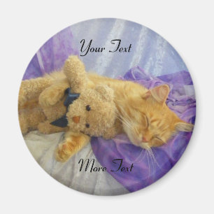 Schlafen Kitty Magnet