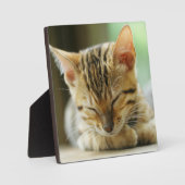 Schlafen Kleine Baby Kitty Fotoplatte (Vorderseite)