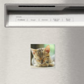 Schlafen Kleine Baby Kitty Magnet (In Situ (Geschirrspüler))
