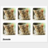 Schlafen Kleine Baby Kitty Quadratischer Aufkleber (Blatt)