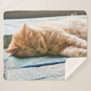 Schlafen Langhaarige Ginger Cat Fleece Blankon Sherpadecke
