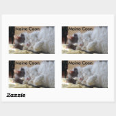 Schlafen Maine Coon Cat Sticker (Blatt)